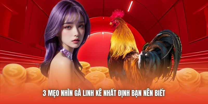 3 mẹo nhìn gà linh kê nhất định bạn nên biết