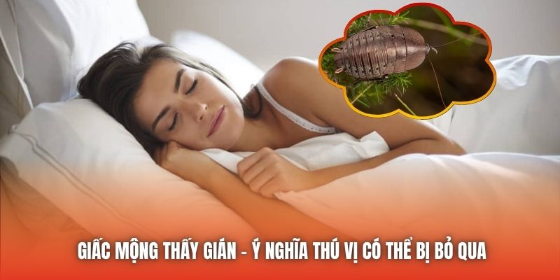 Giấc mộng thấy gián - ý nghĩa thú vị có thể bị bỏ qua